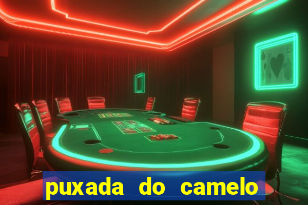 puxada do camelo jogo do bicho